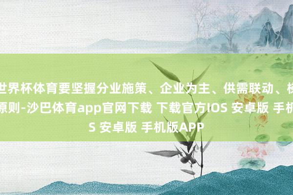 世界杯体育要坚握分业施策、企业为主、供需联动、梯次激动原则-沙巴体育app官网下载 下载官方IOS 安卓版 手机版APP